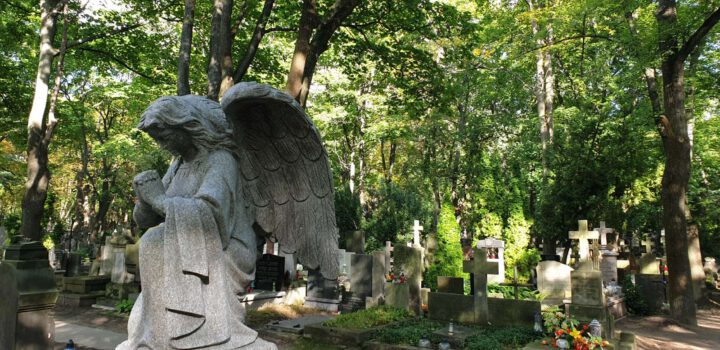 Doświadczenie od 1988 roku i renoma na rynku usług pogrzebowych w Warszawie